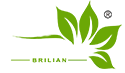 logo Sanfood Indonesia | GOOD FOOD FOR GOOD KIDS